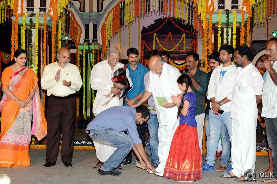 Dagudumutha-Dandakor-Movie-Audio-Launch